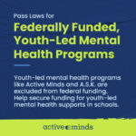 Pass Laws for Federally Funded Youth-led Mental Health Programs